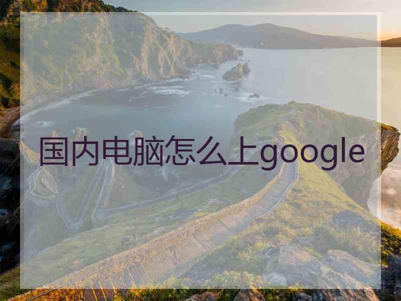 国内电脑怎么上google