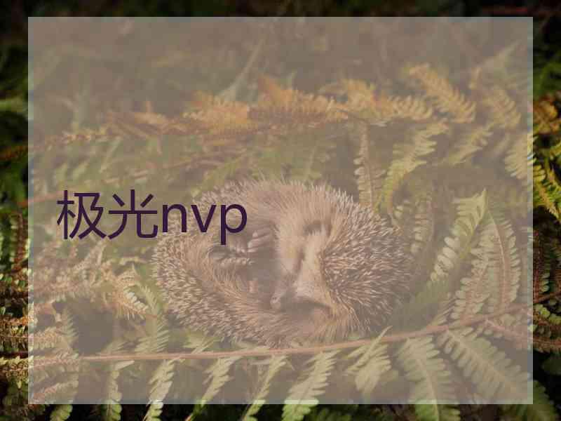 极光nvp