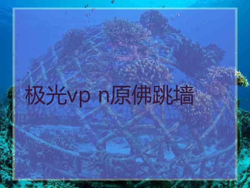 极光vp n原佛跳墙