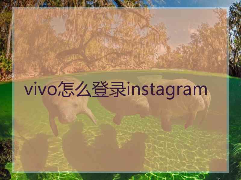 vivo怎么登录instagram