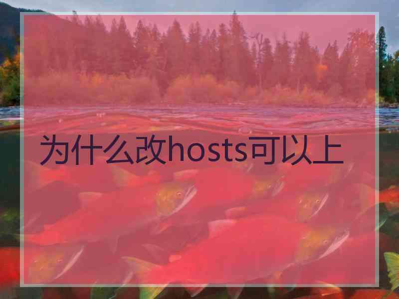 为什么改hosts可以上