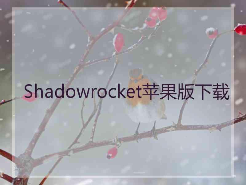 Shadowrocket苹果版下载