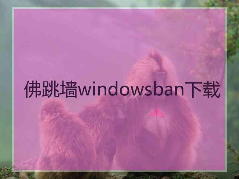 佛跳墙windowsban下载