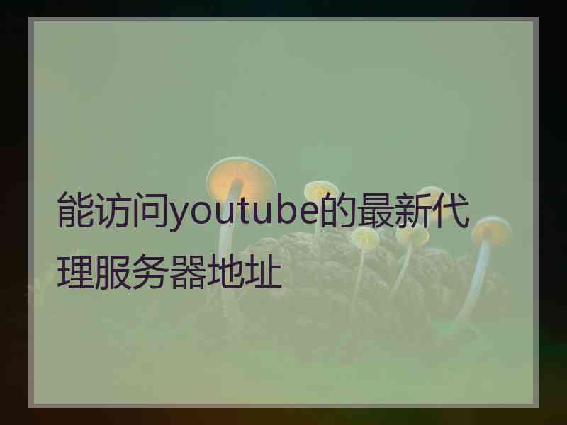 能访问youtube的最新代理服务器地址