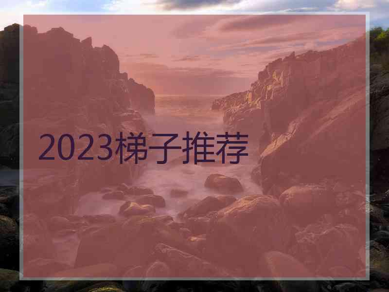 2023梯子推荐