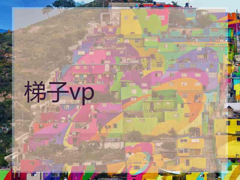 梯子vp