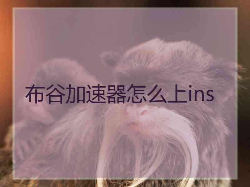 布谷加速器怎么上ins