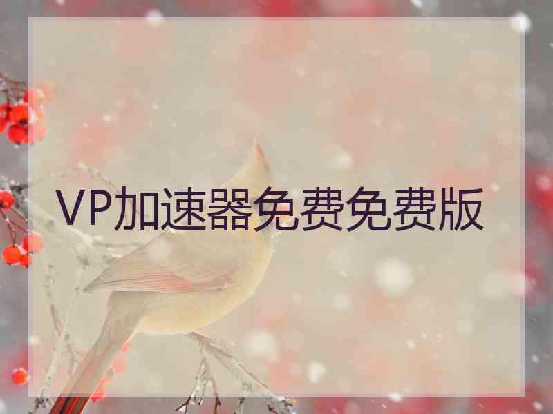 VP加速器免费免费版