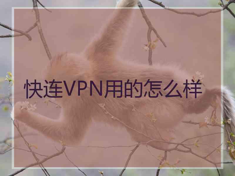 快连VPN用的怎么样