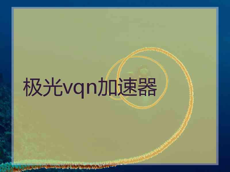 极光vqn加速器