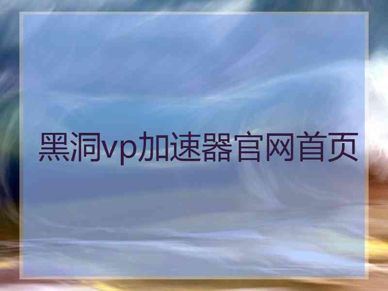 黑洞vp加速器官网首页