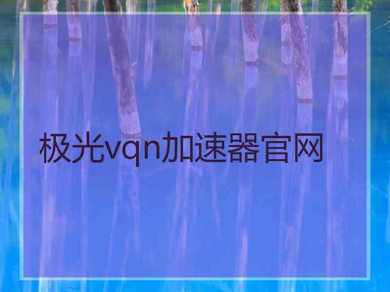 极光vqn加速器官网