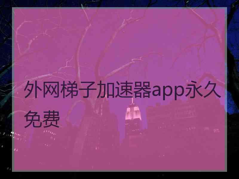 外网梯子加速器app永久免费