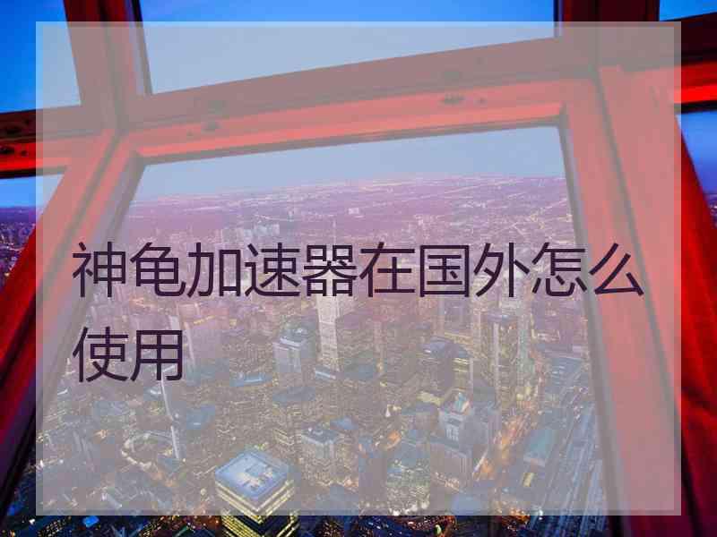 神龟加速器在国外怎么使用