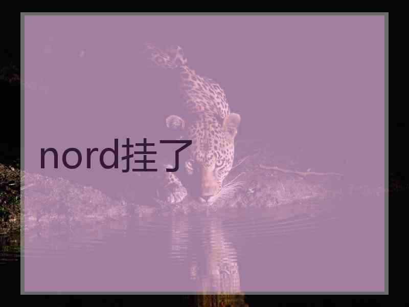 nord挂了