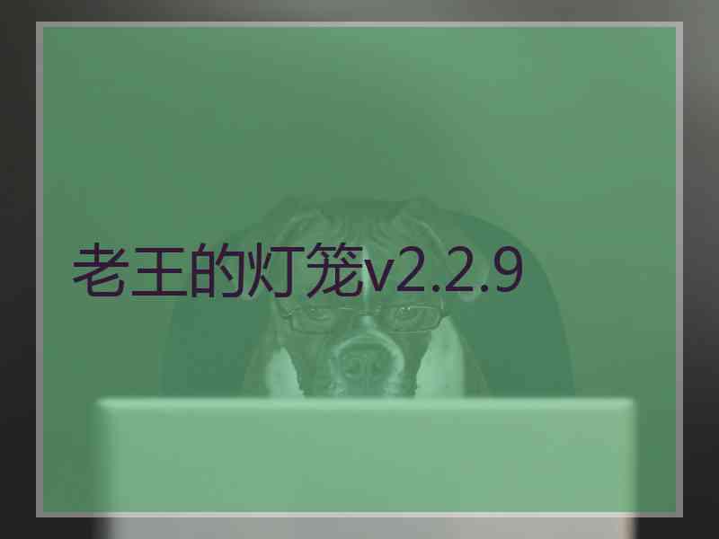 老王的灯笼v2.2.9