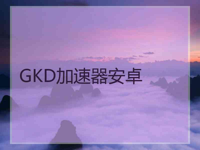 GKD加速器安卓