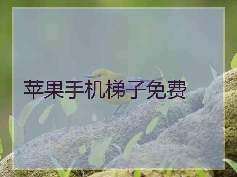 苹果手机梯子免费