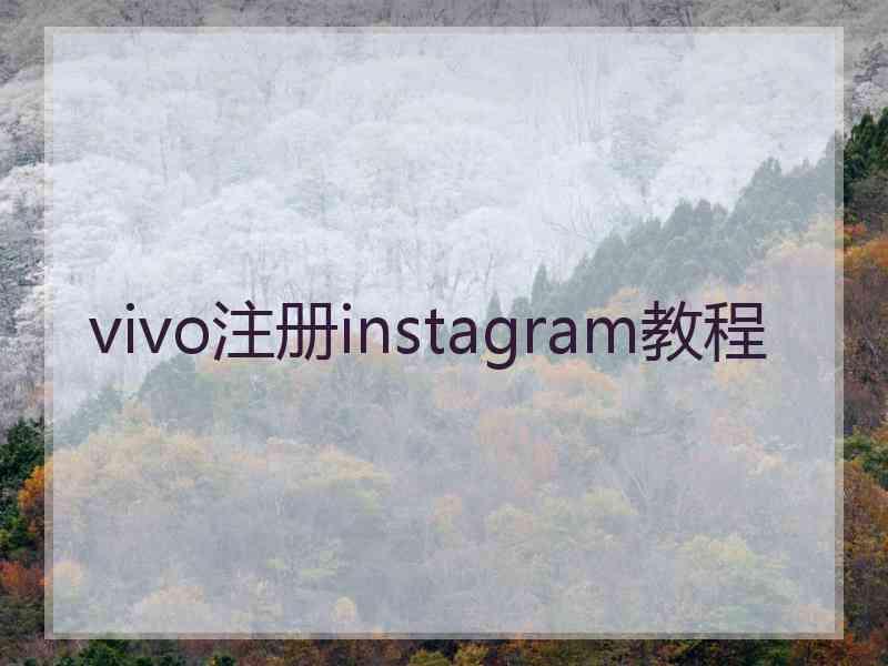 vivo注册instagram教程