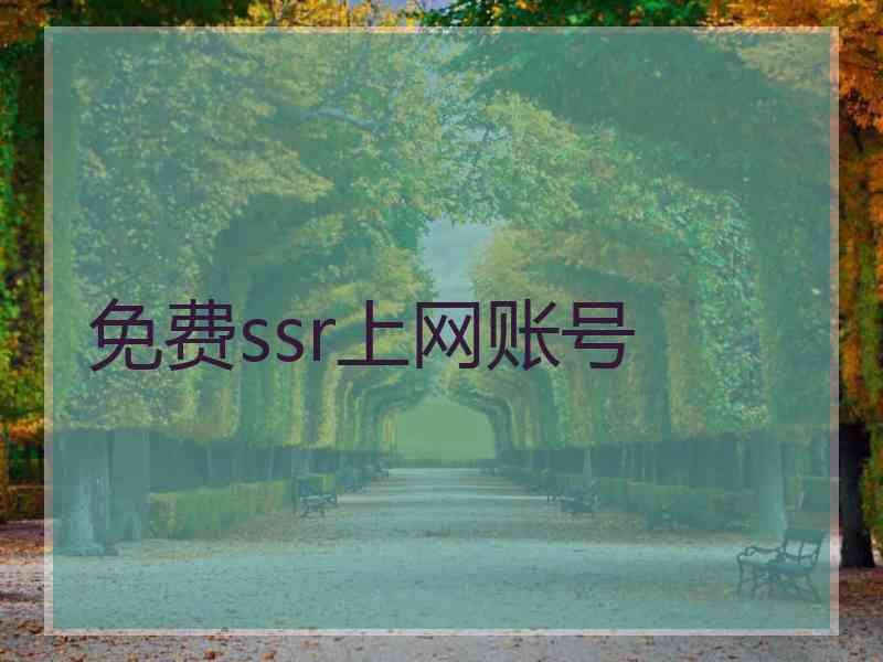 免费ssr上网账号