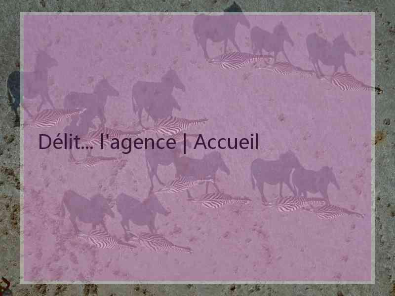 Délit... l'agence | Accueil