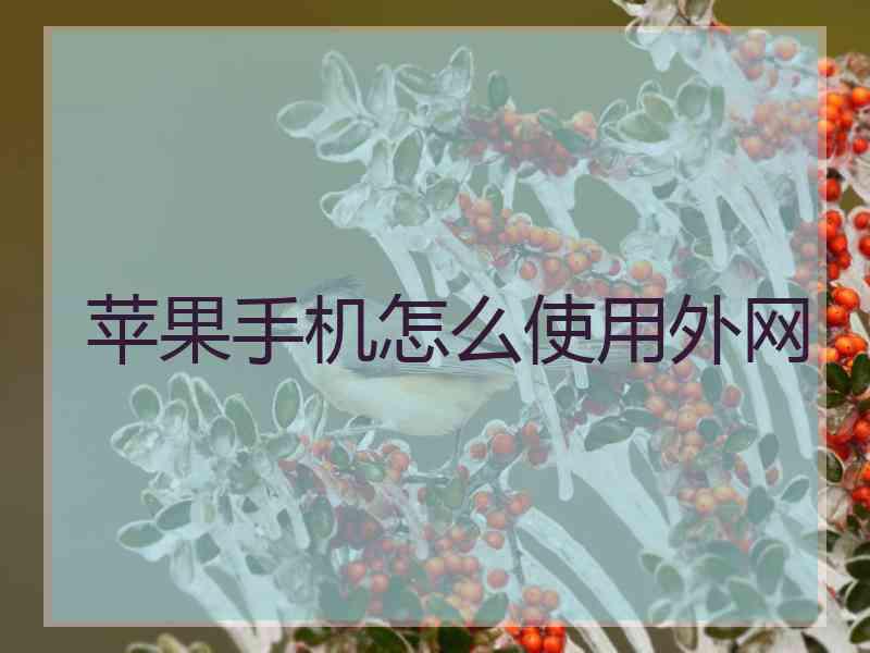 苹果手机怎么使用外网