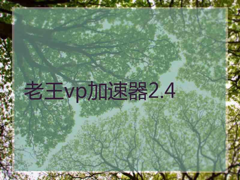 老王vp加速器2.4