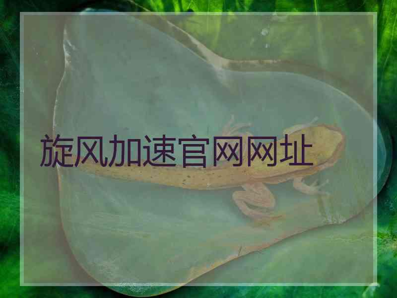 旋风加速官网网址