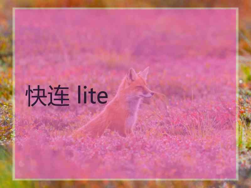 快连 lite