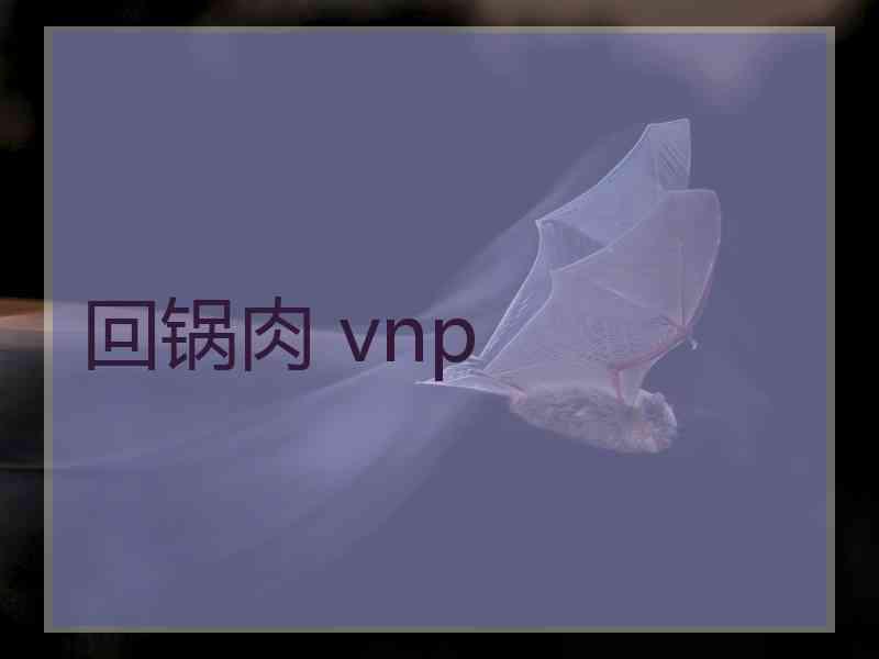 回锅肉 vnp