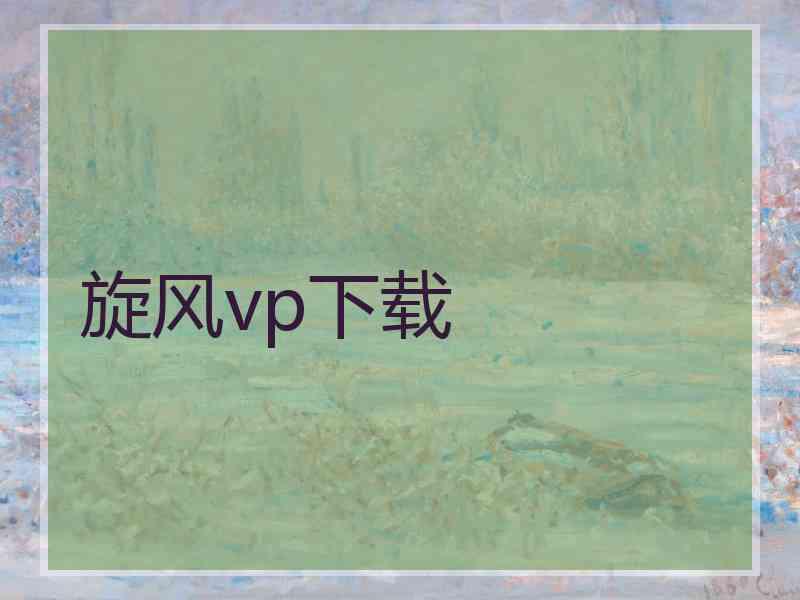 旋风vp下载