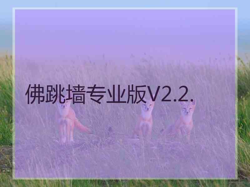 佛跳墙专业版V2.2.