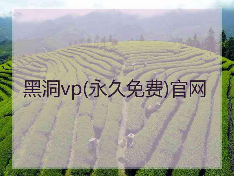 黑洞vp(永久免费)官网