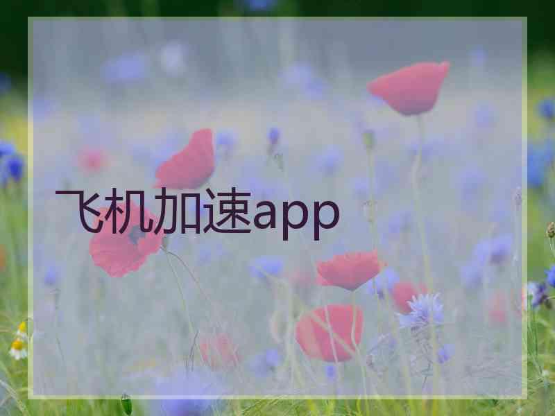 飞机加速app