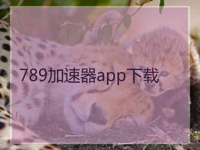 789加速器app下载