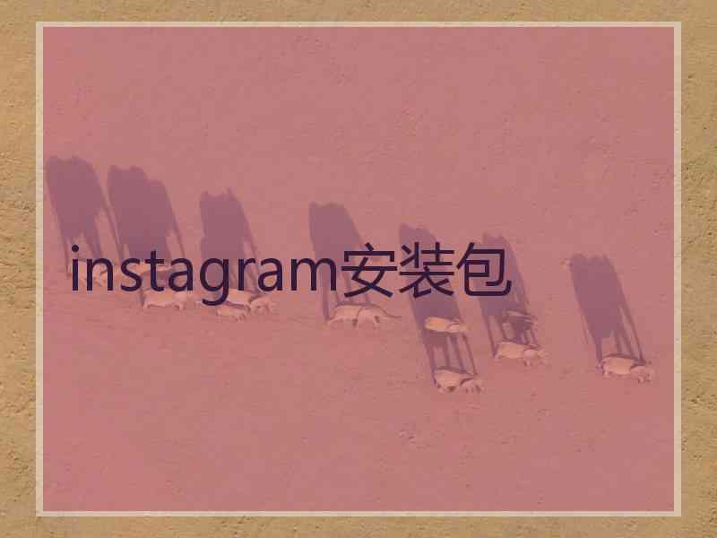 instagram安装包