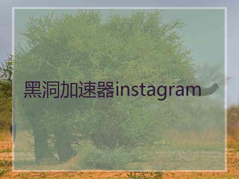 黑洞加速器instagram