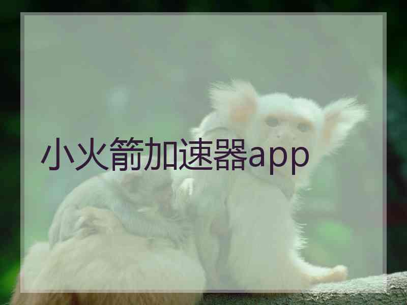 小火箭加速器app