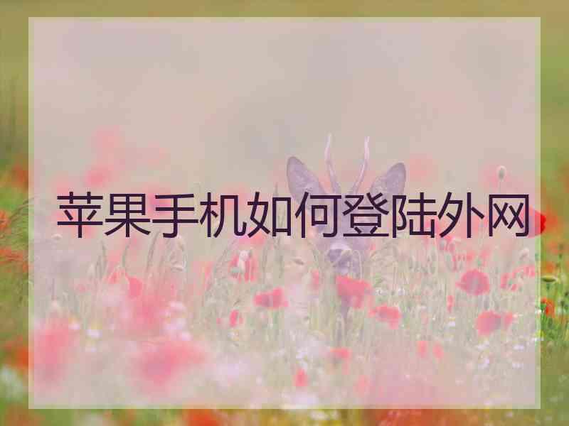 苹果手机如何登陆外网