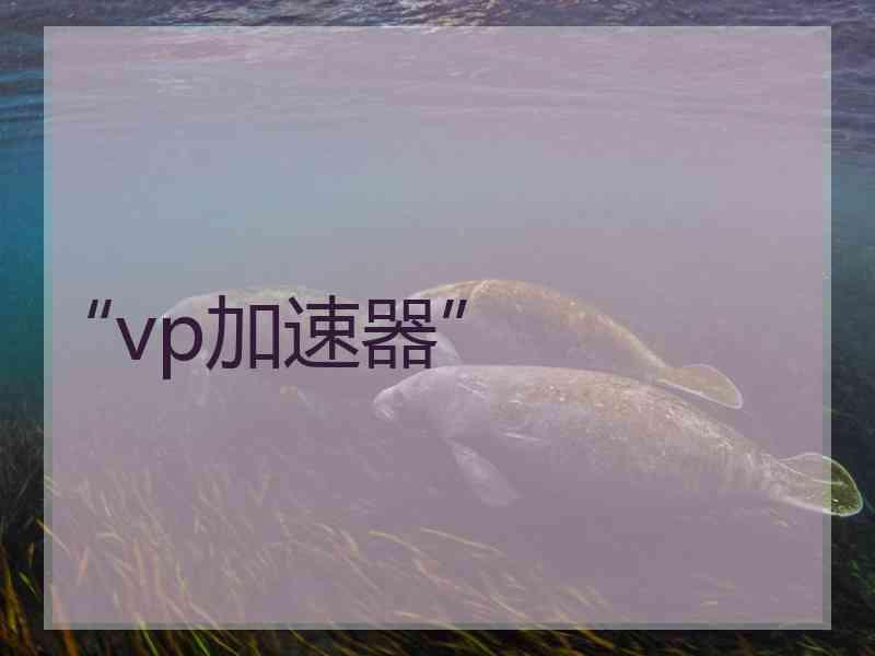 “vp加速器”