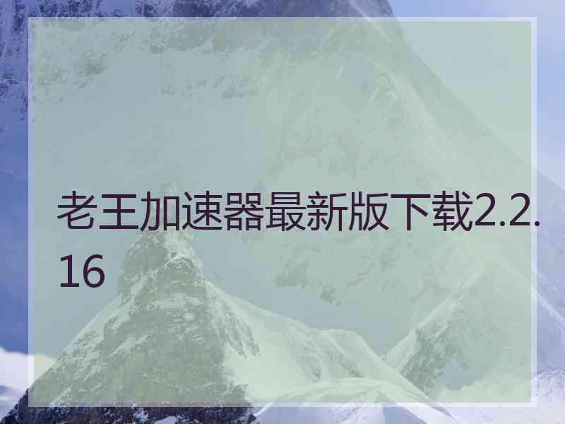 老王加速器最新版下载2.2.16