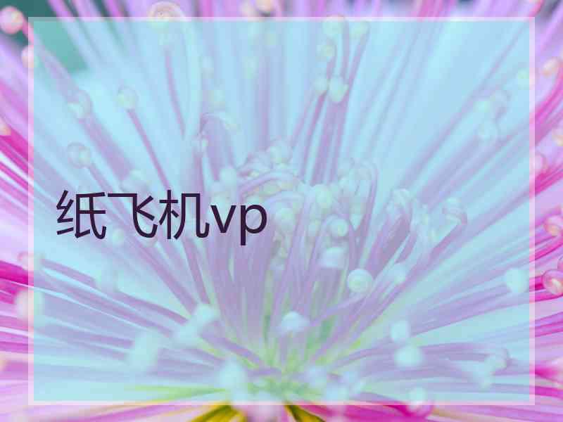 纸飞机vp