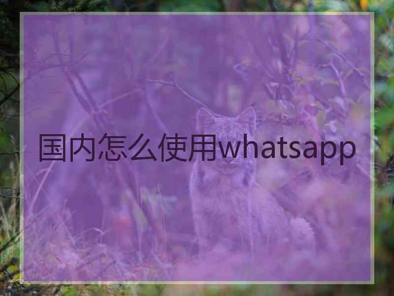 国内怎么使用whatsapp