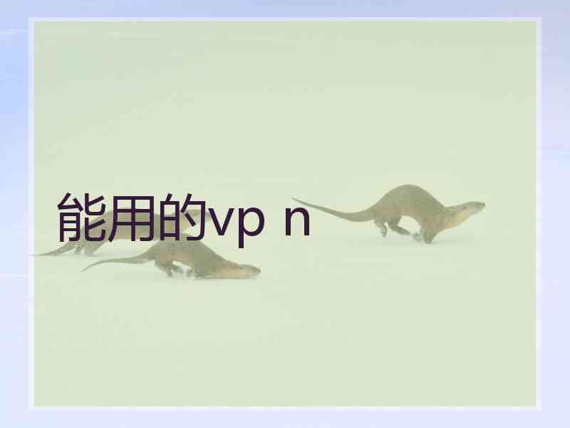 能用的vp n