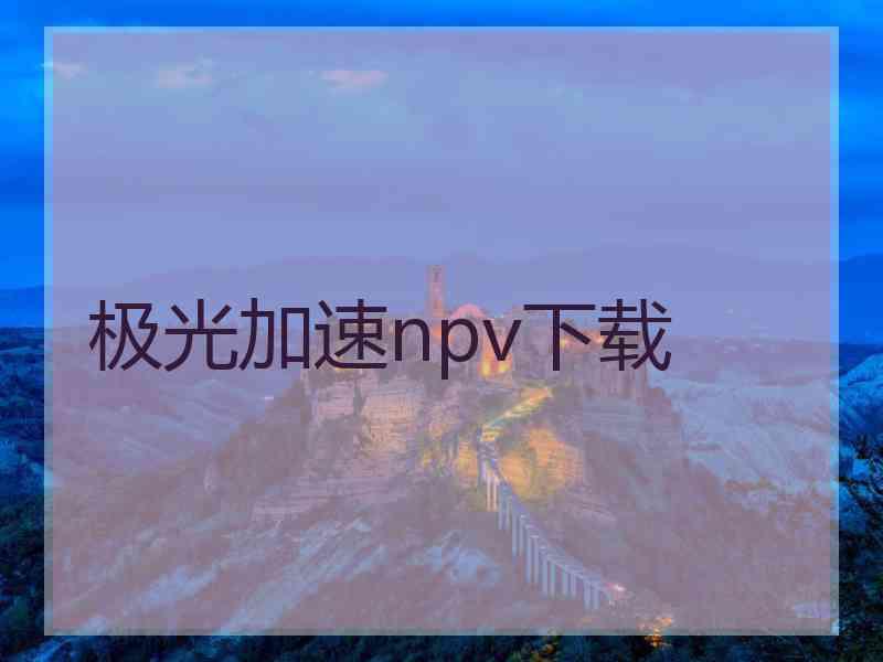 极光加速npv下载