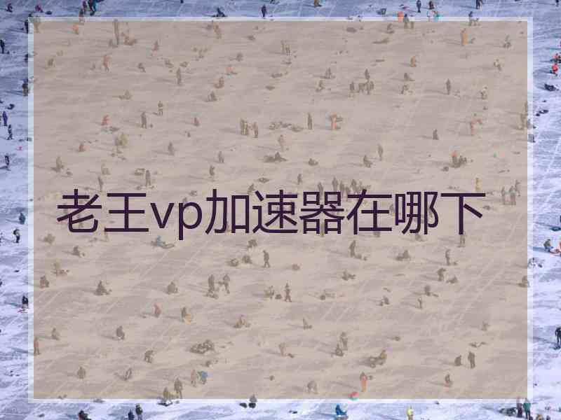 老王vp加速器在哪下