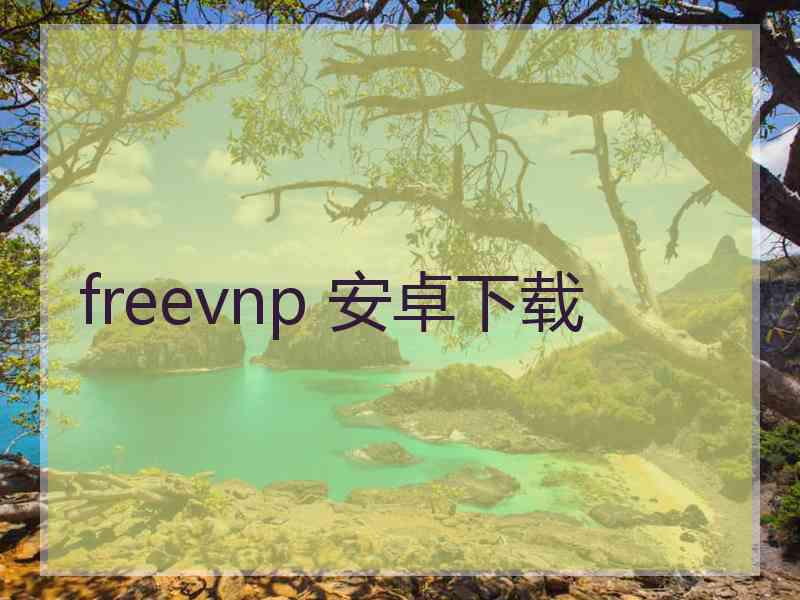 freevnp 安卓下载