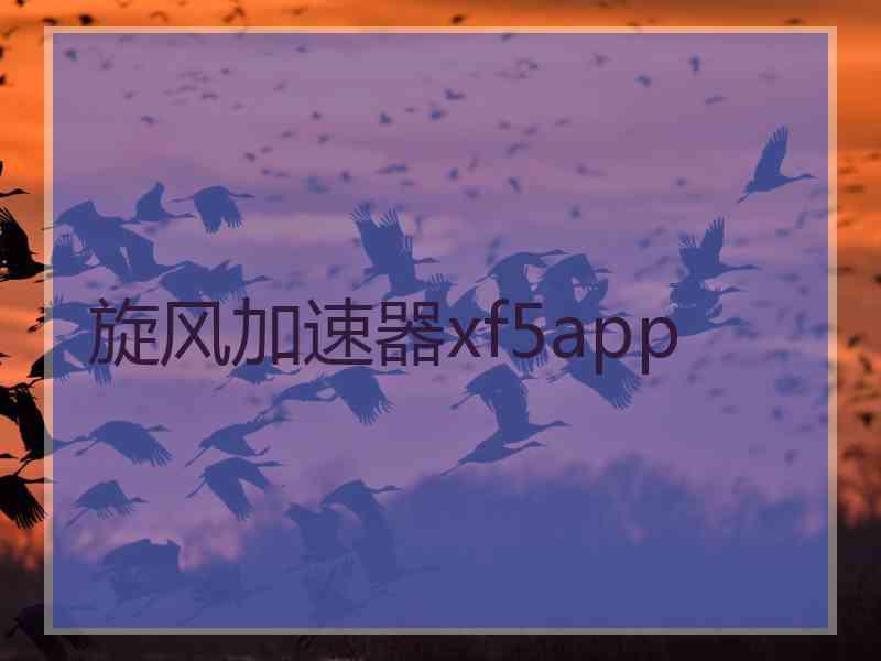 旋风加速器xf5app