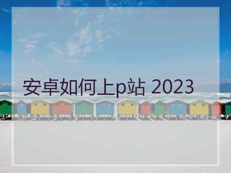 安卓如何上p站 2023