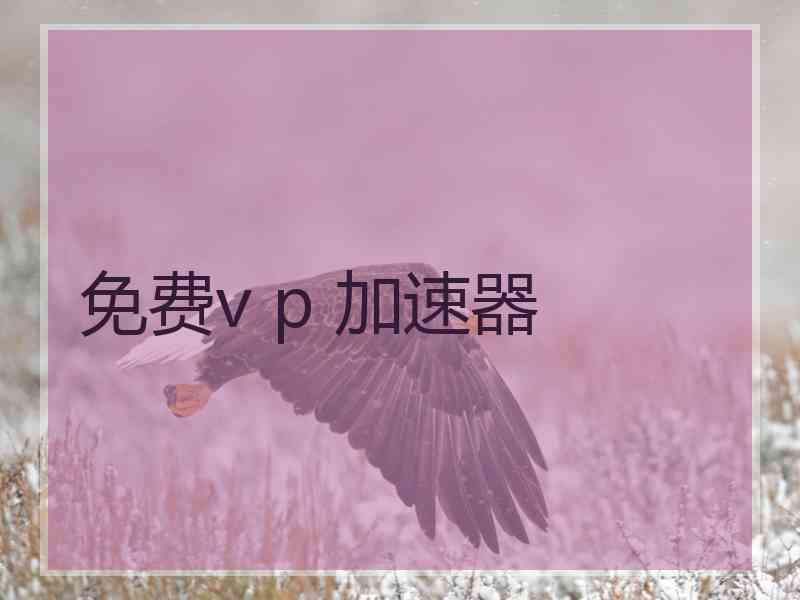 免费v p 加速器